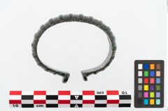 Foto von Bronzemelonenarmreif (NHMW-PRAE-025306)